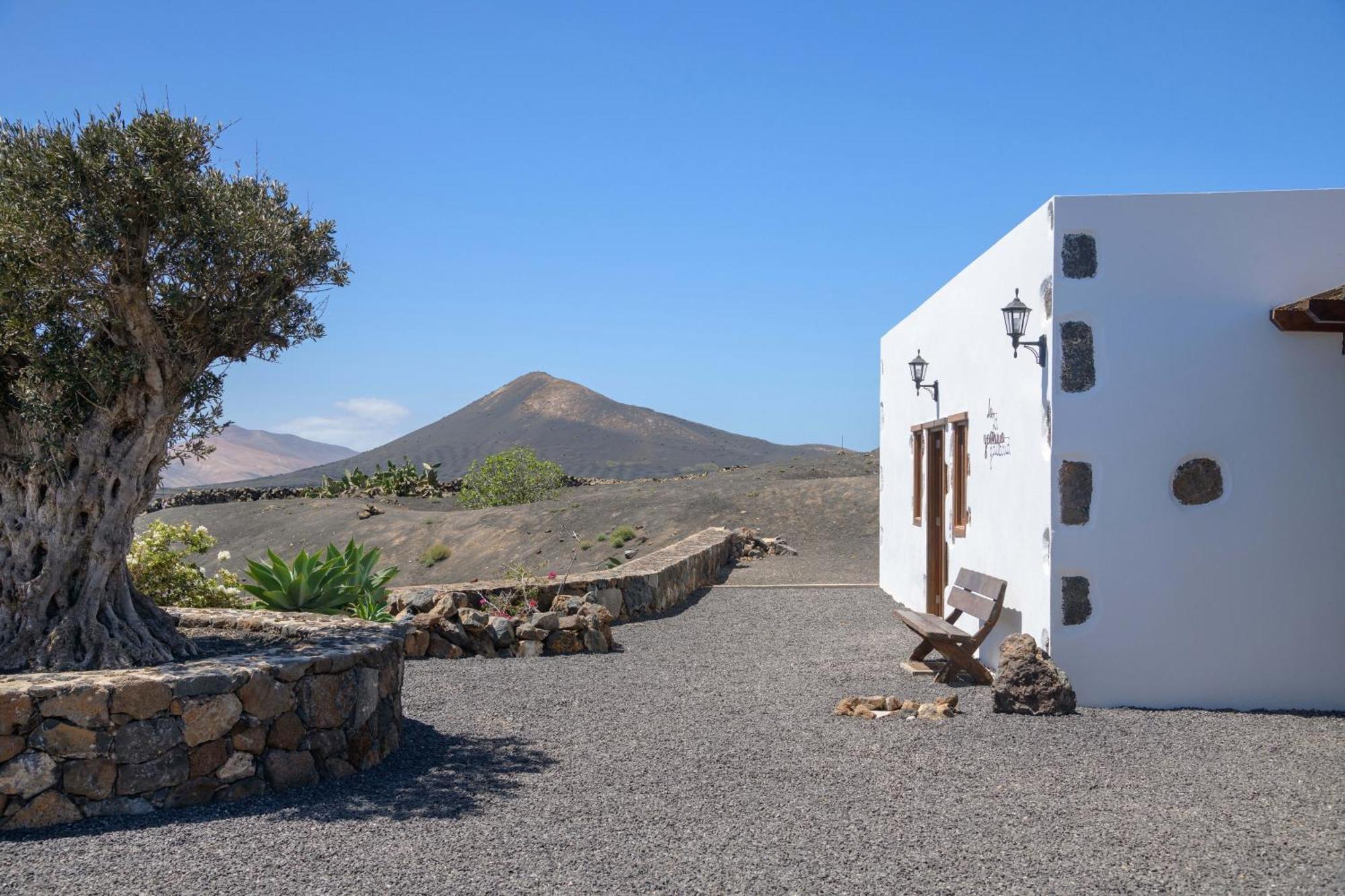 De La Geria Yaiza (Lanzarote)